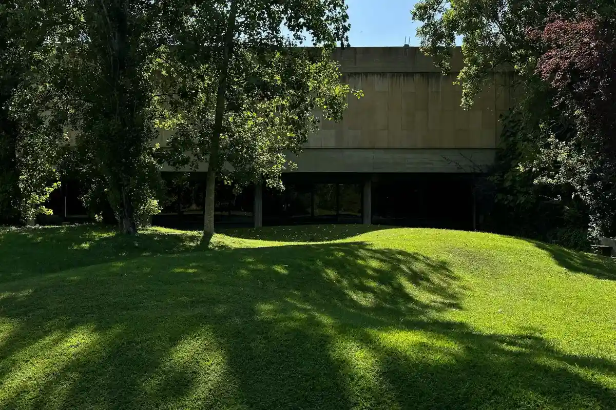 Lawn with a gentle slope in front of a building, with shaded green turf illustrating soil and seed considerations.