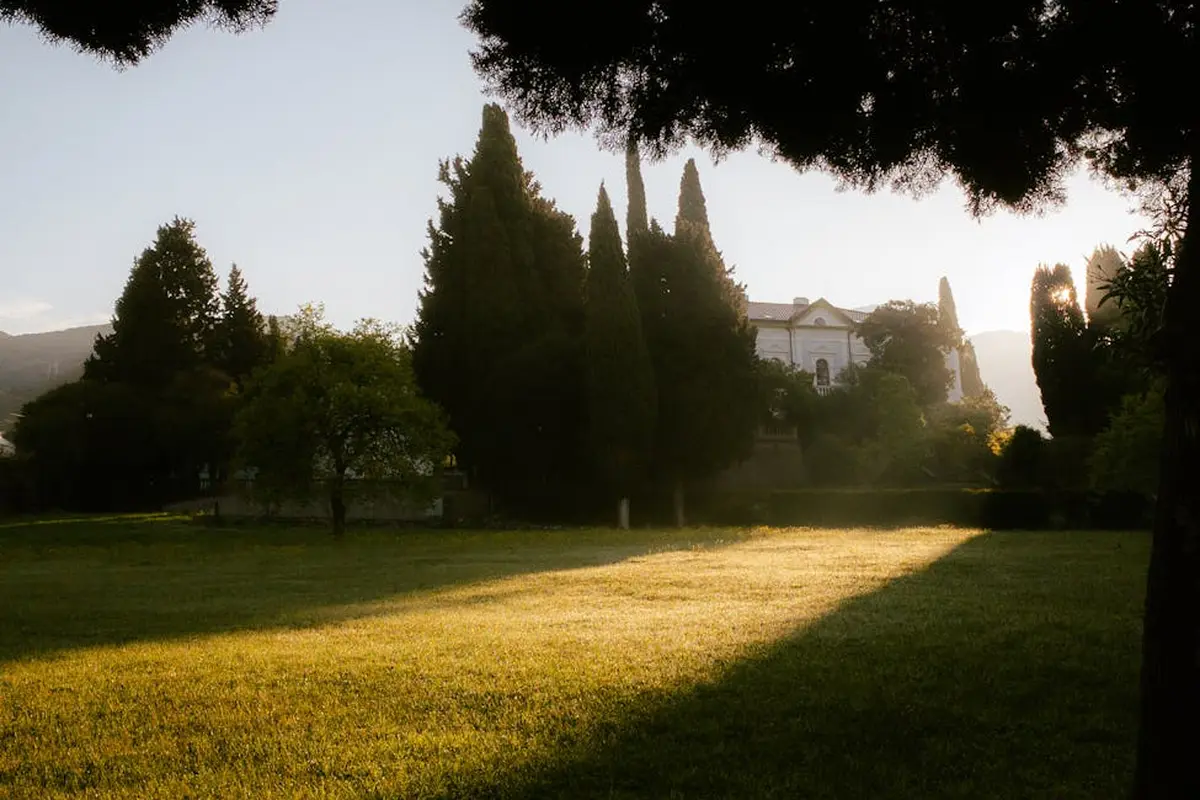 A sunlit grassy lawn with tall trees and a distant building, casting long shadows.