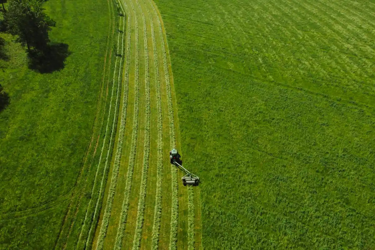Aerial view of a person operating a lawn mower across a large green field, leaving mowing lines behind.
