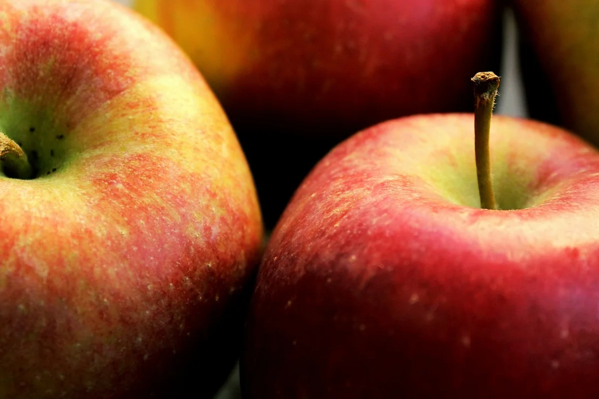 Close-up of ripe red apples on a tree with a blurred background