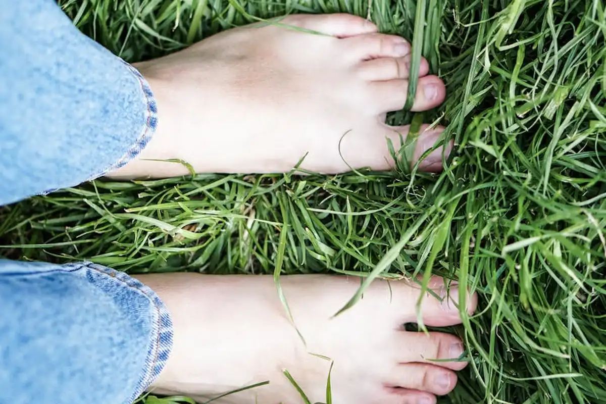 Bare feet on lush green grass, close to ground level, illustrating prep work for laying sod over an existing lawn.