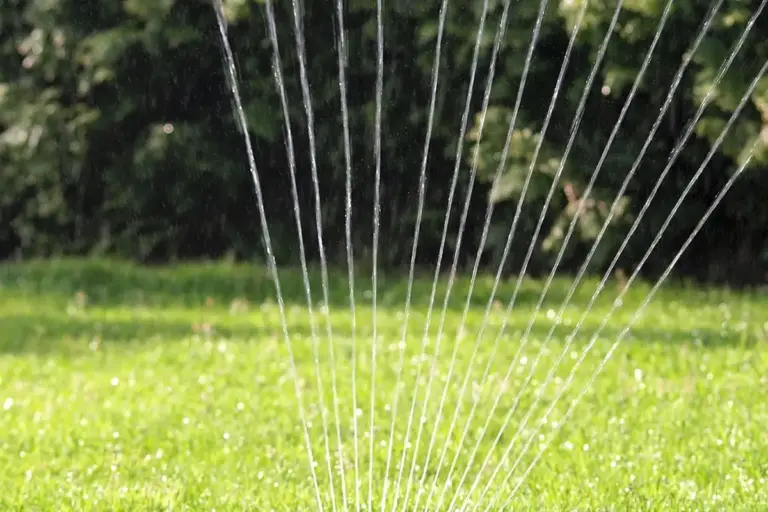 Sprinkler spraying water over a bright green Bermuda grass lawn.