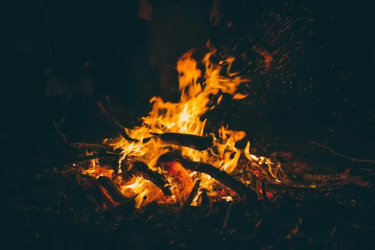 Campfire with burning logs glowing orange in a dark setting.