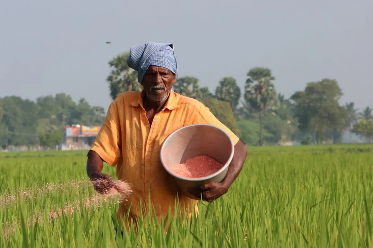 A person in an orange shirt pours fertilizer from a bucket into a field with young plants and trees in the background.