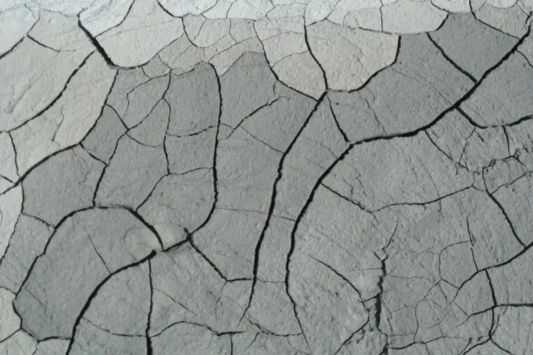 Close-up of cracked, dry soil showing poor drainage