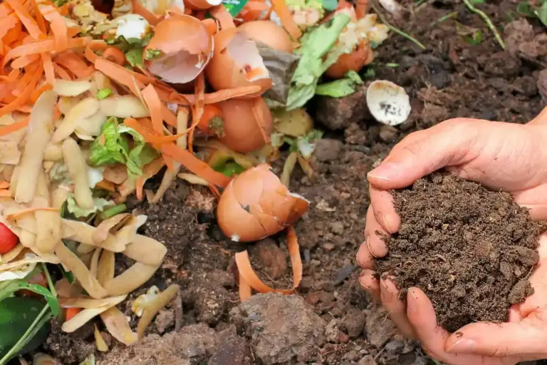 Hands holding a clump of soil in a garden bed with vegetable scraps and eggshells nearby, illustrating composting and soil preparation for drought-era fertilization.