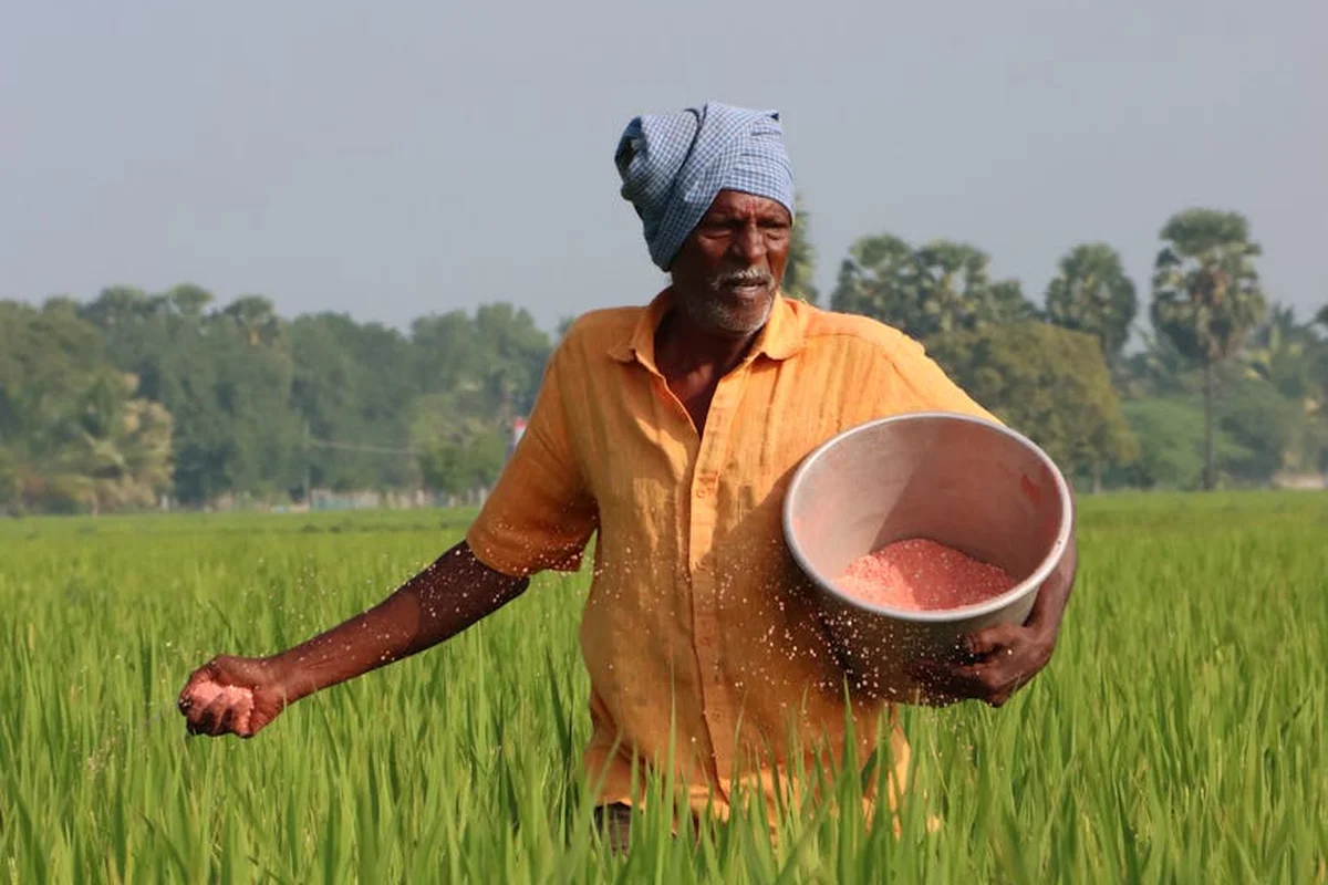 Farmer in an orange shirt and head covering sprinkling pink fertilizer powder from a bucket across a green field.