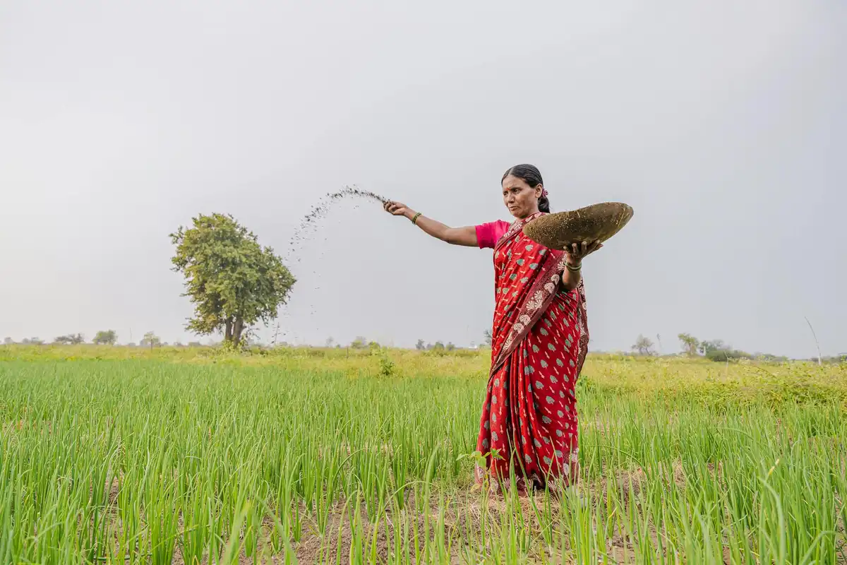 A woman in a red saree stands in a green field, tossing contents from a basket onto the crops.
