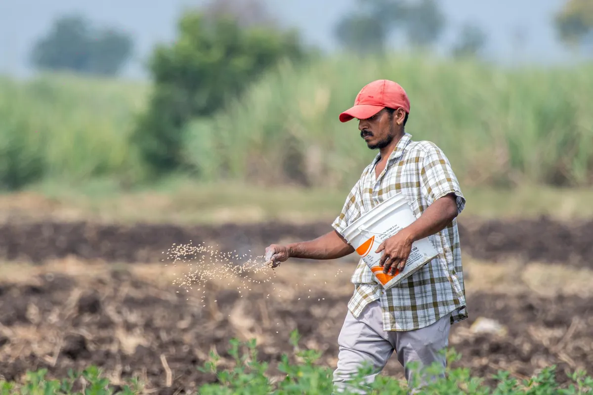A farmer wearing a plaid shirt and red cap scatters grass seed over a freshly prepared field.