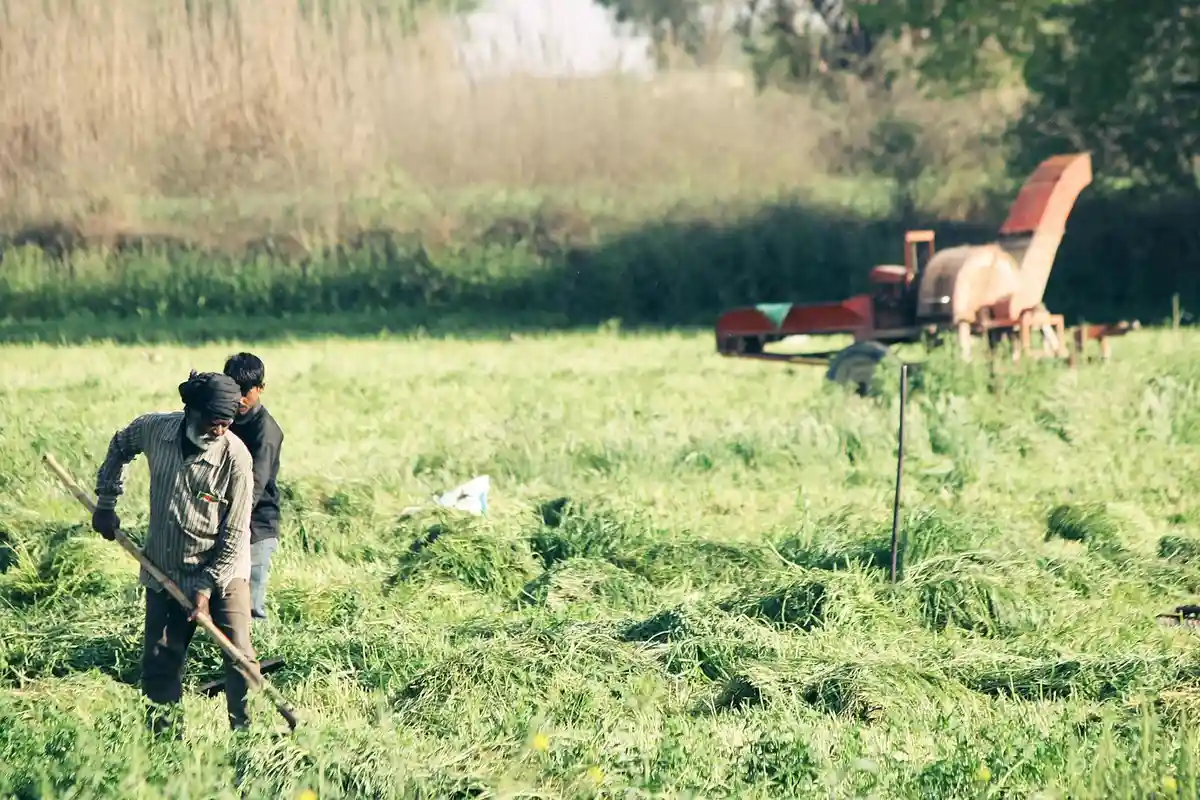 Two workers mowing a grassy field with a riding lawn mower visible in the background.