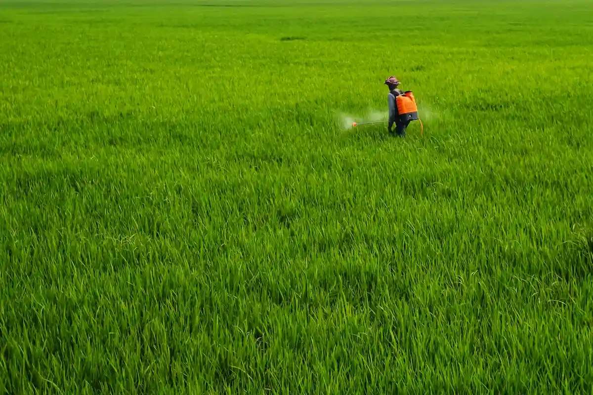 A person in a backpack sprayer applies fertilizer across a large, green lawn field.