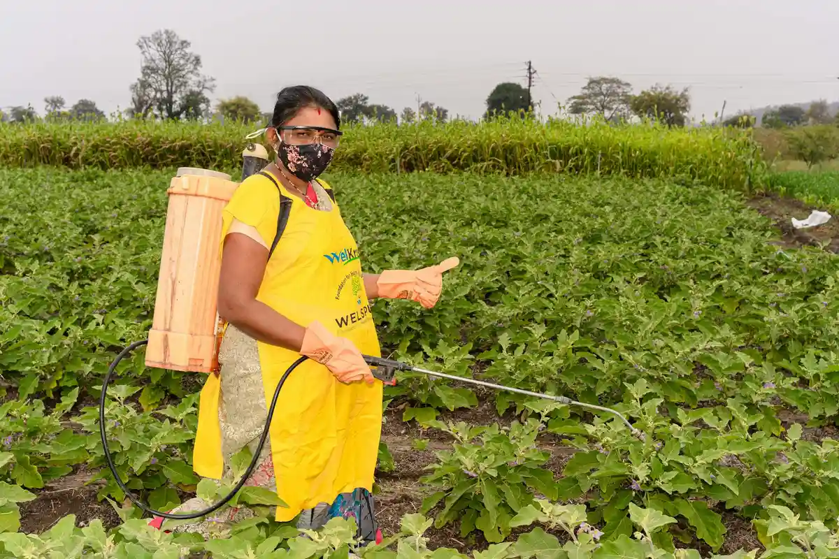 Person wearing a yellow apron and protective mask uses a backpack sprayer to apply liquid fertilizer on a field of leafy green plants.