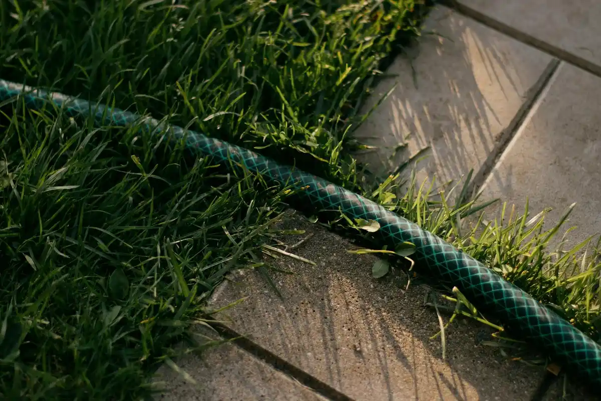 Close-up of a garden hose lying on a lush green lawn beside concrete pavers.