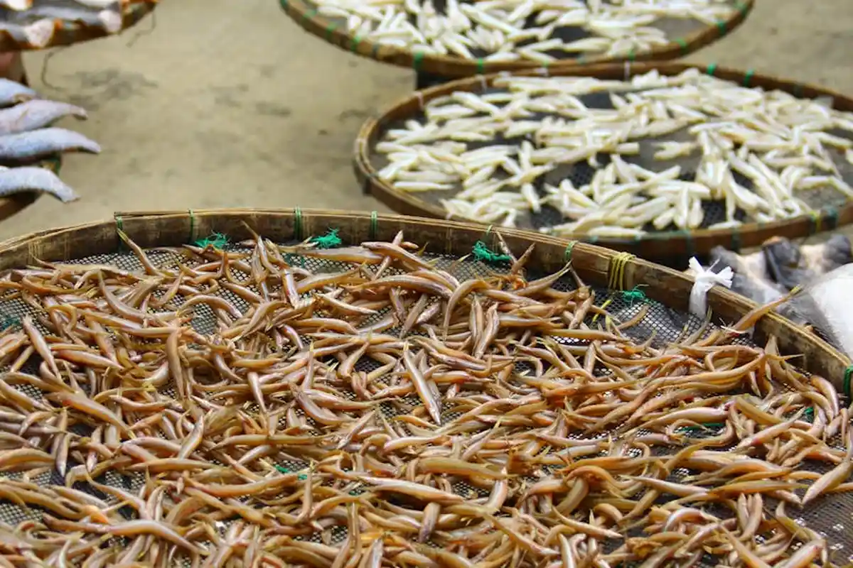 Baskets filled with small fish laid out to dry, illustrating the raw material for fish fertilizer and potential odor considerations.