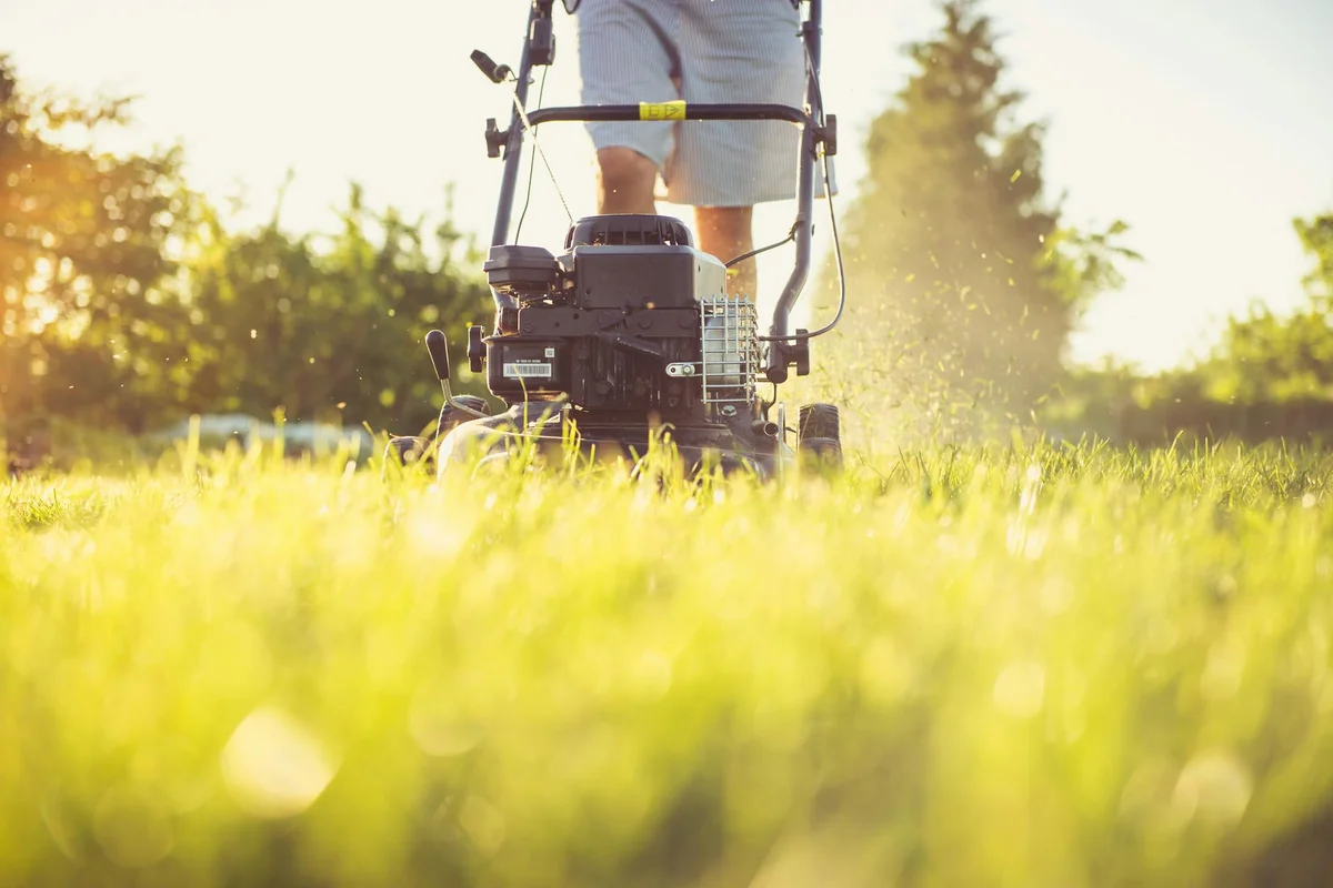 A person mowing a sunlit lawn with a lawn mower, grass clippings visible on the vibrant green grass.