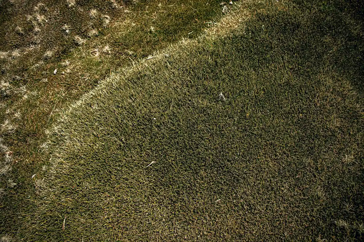 Top-down view of a lawn with a circular patch of grass, highlighting an aeration issue.
