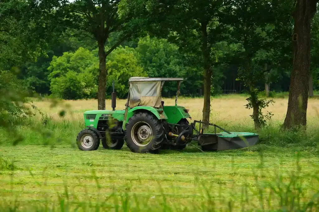 How Much Does a Lawn Mower Really Cost? Your Smart Homeowner’s Guide