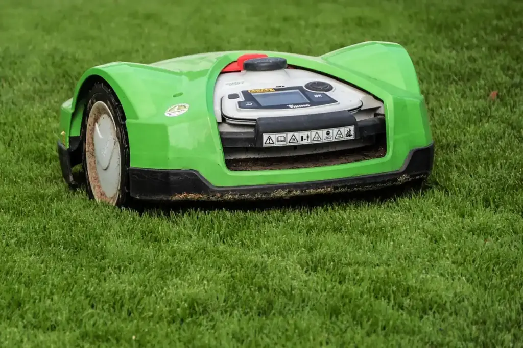 How Often Should You Mow Your Lawn?