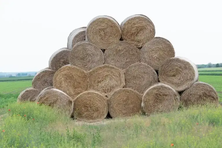 Stack of round hay bales in a grassy field.