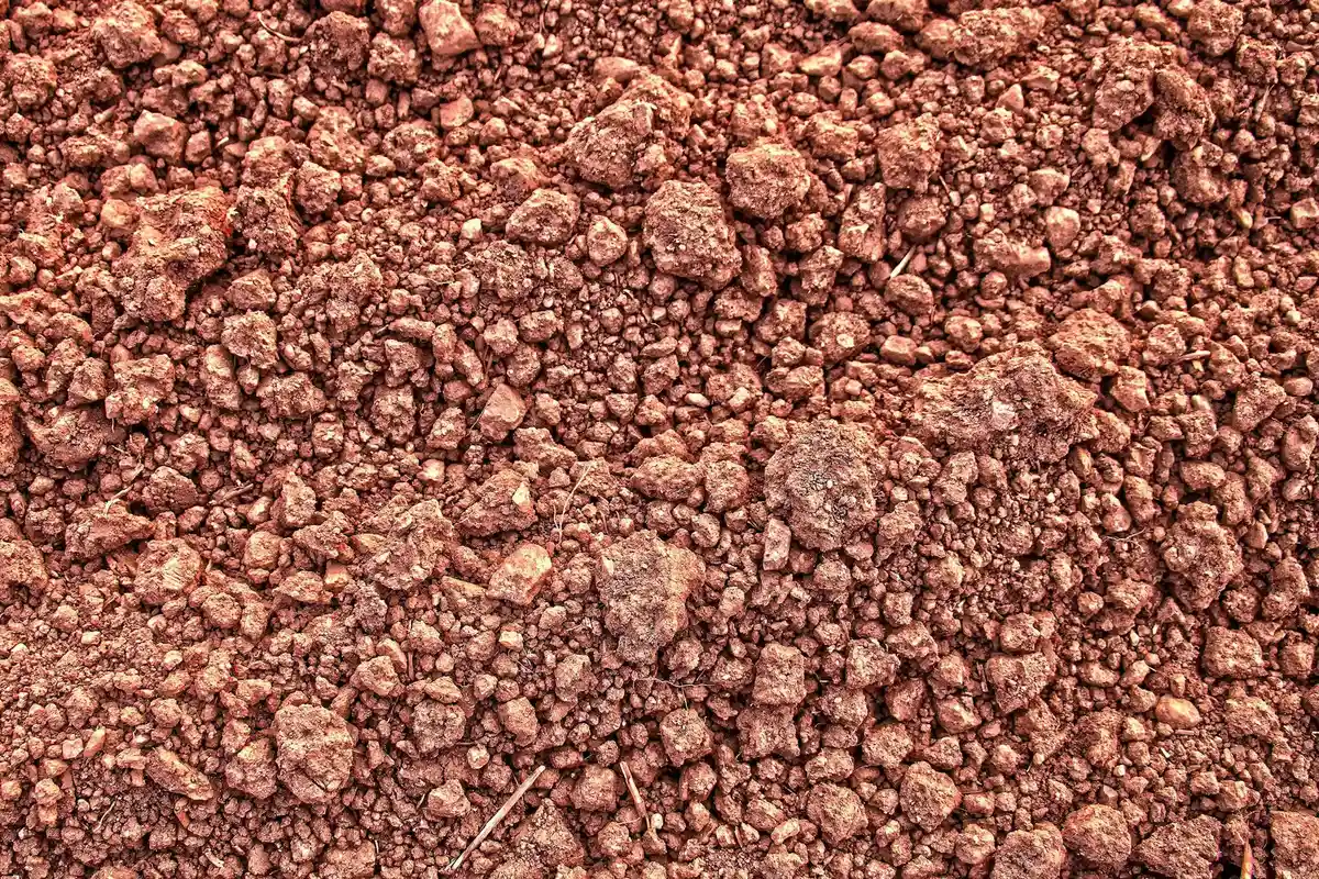Close-up of textured reddish-brown heavy clay soil with small clumps.