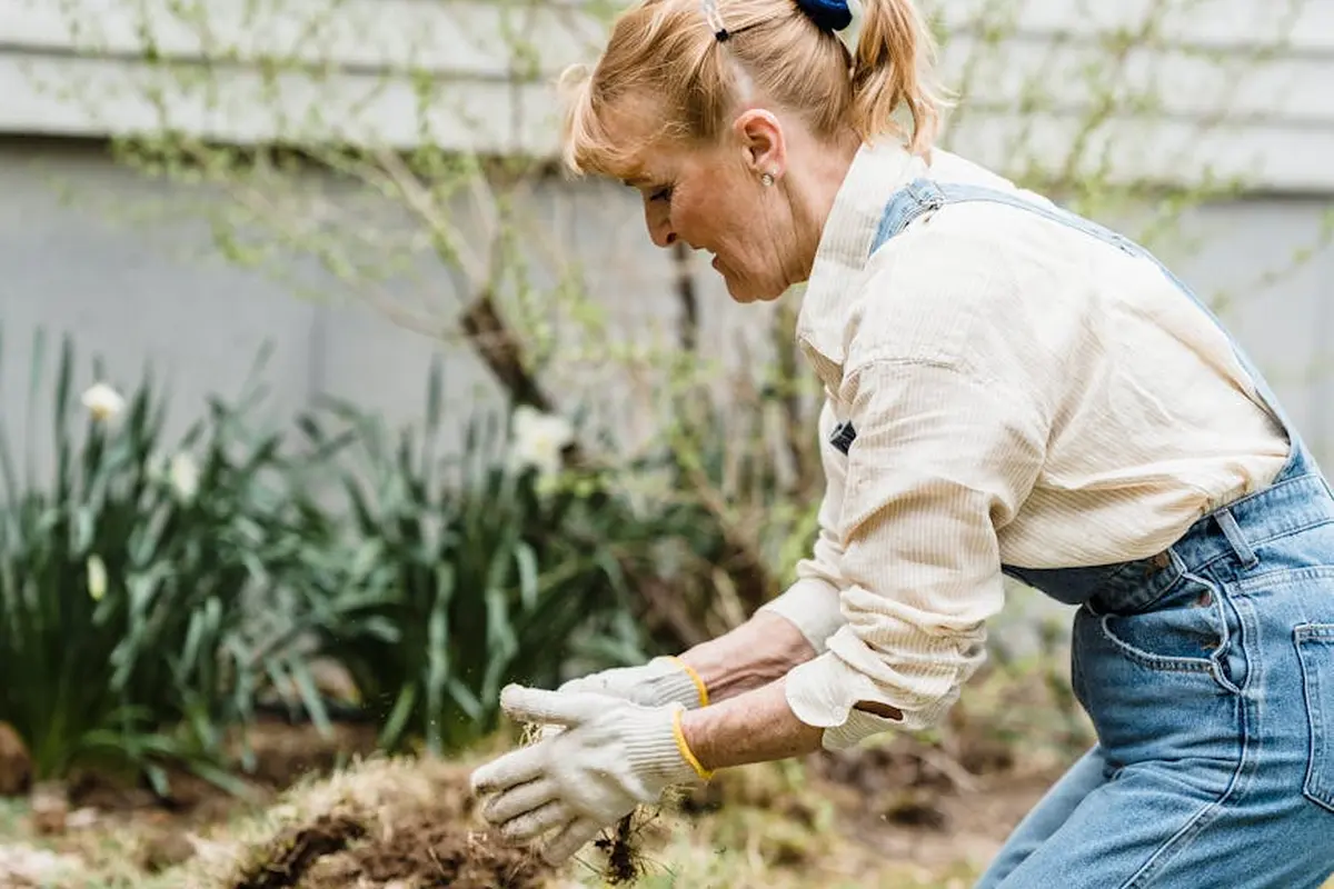 A gardener wearing gloves and denim overalls digs into soil in a backyard to prepare for core lawn aeration.