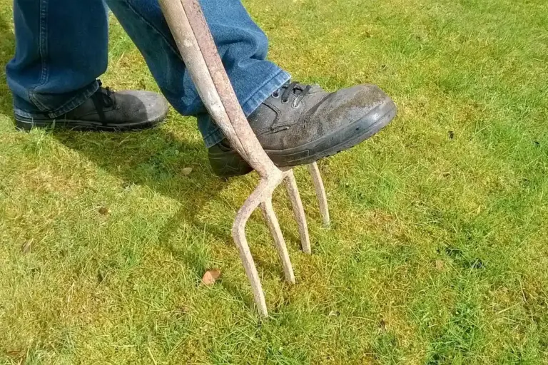 Person wearing jeans and sturdy shoes using a manual lawn aerator with metal tines on a green lawn