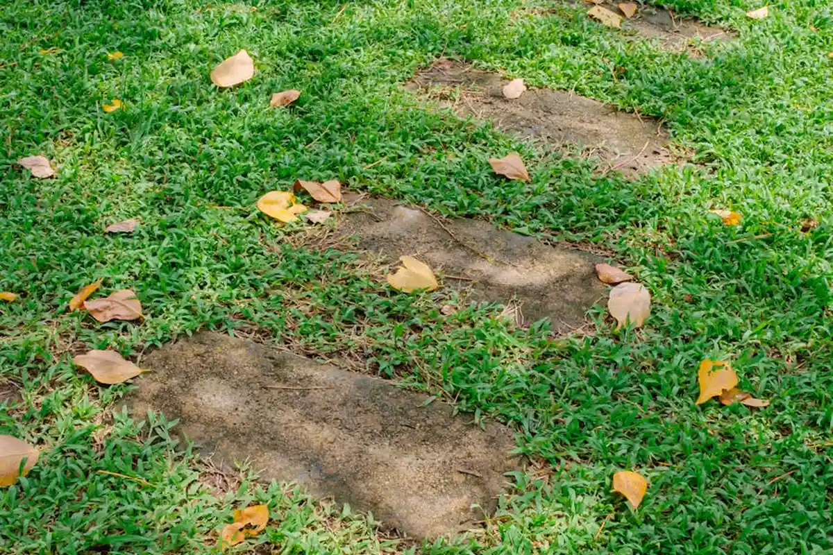 Lawn with several bare soil patches among green grass and scattered fallen leaves, illustrating aeration effects.