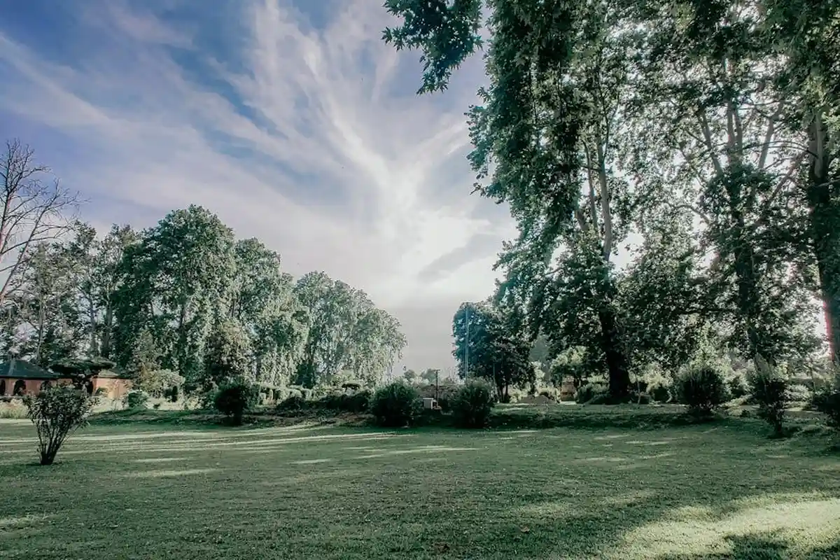 A sunlit, well-maintained grassy field with mature trees and shrubs under a blue sky.