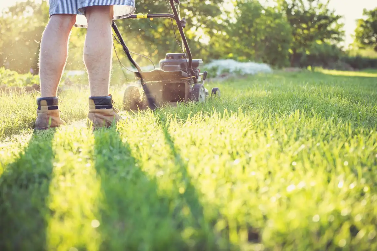 Person wearing boots pushes a lawn mower across a sunlit, well-kept lawn.