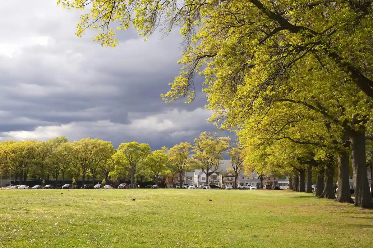 Wide grassy park lawn with a row of trees along the right edge and a cloudy sky overhead.