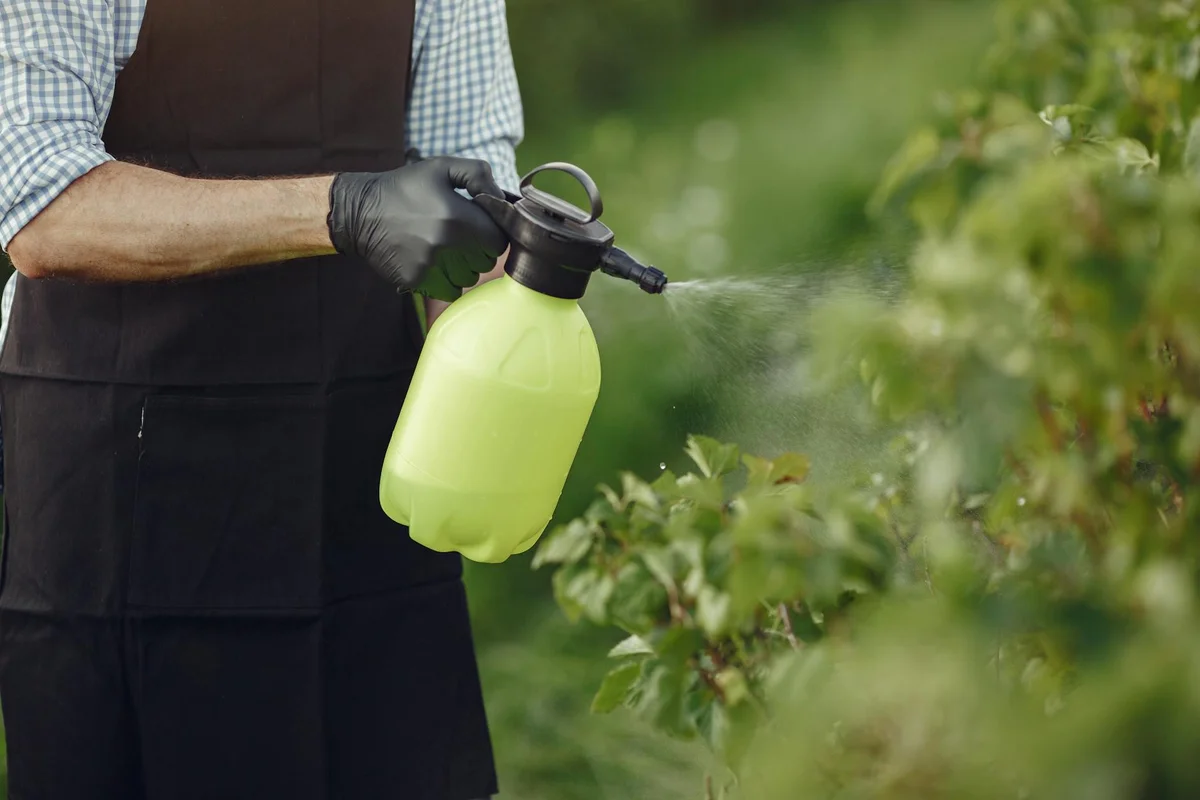Person wearing gloves and a dark apron uses a yellow-green handheld sprayer to apply liquid to greenery.