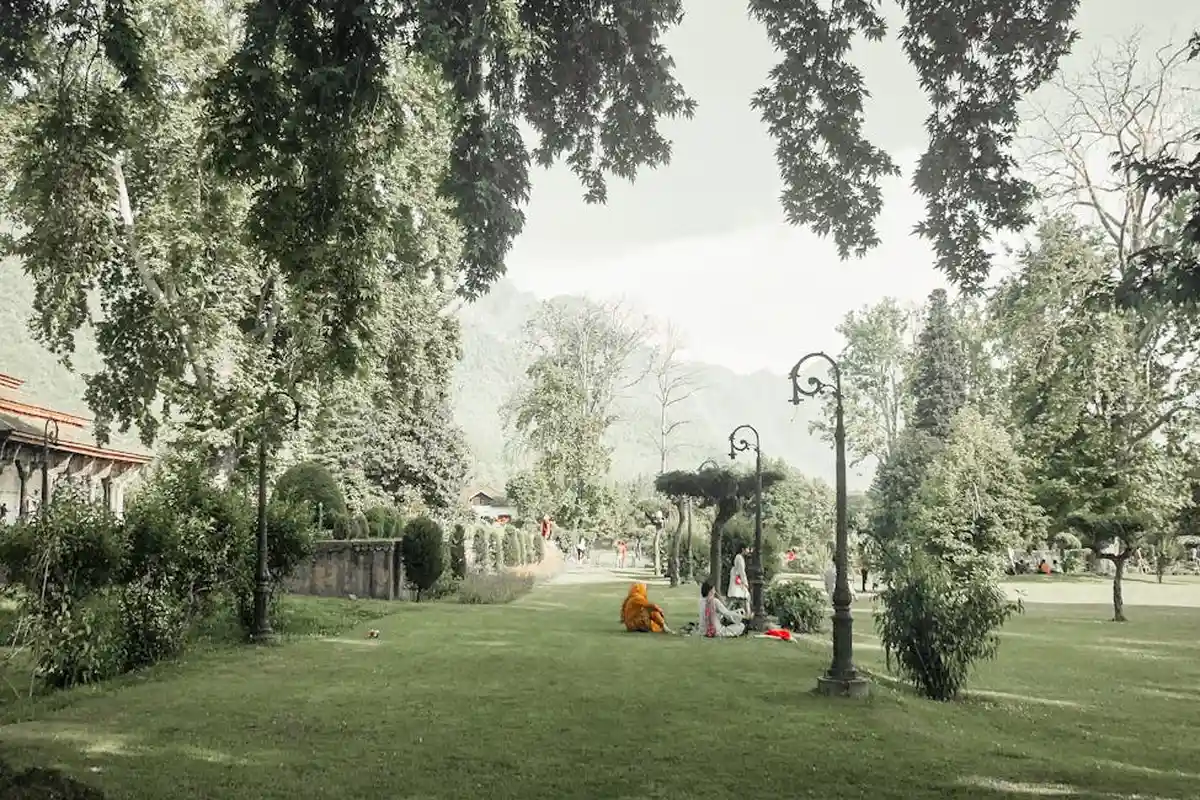 A well-maintained grassy park with tall trees, lampposts, and people relaxing on the lawn