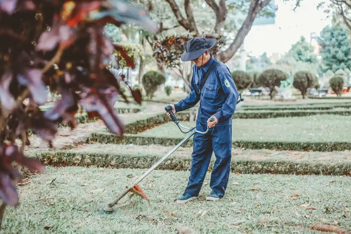 A person in blue workwear uses a long-handled lawn trimmer on a neatly mowed grassy area in a park.