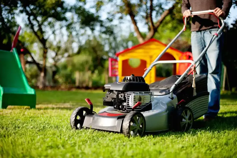 A gas-powered push lawn mower on a grassy lawn with a playset in the background.