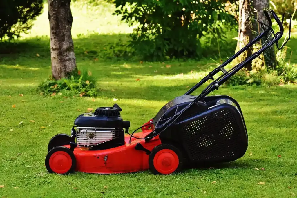 When Should You Mow the Lawn? The Real Best Time for Your Grass