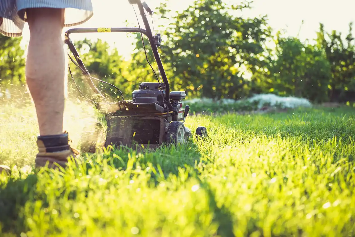 A person pushing a lawn mower across a sunlit green lawn.