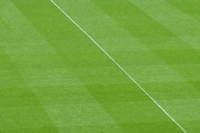 Close-up of a vibrant green lawn with a white diagonal line across the grass