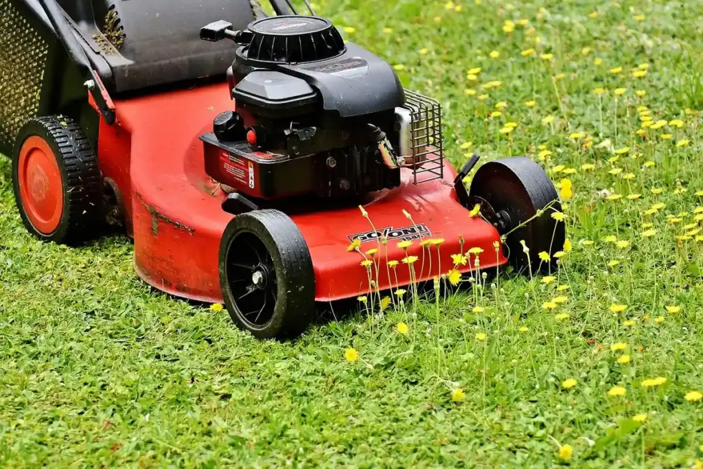 What Are the Best Natural and Chemical Grub Control Methods for Lawns?