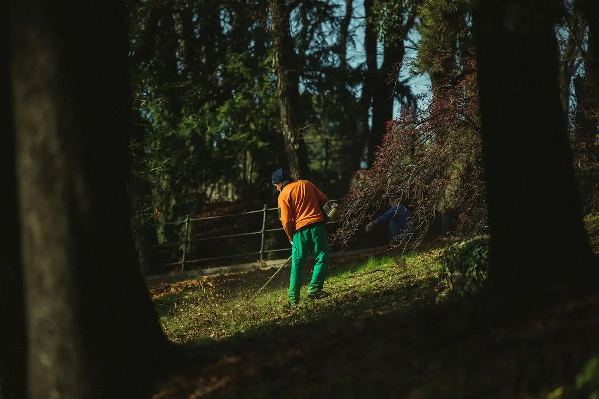 Person in an orange shirt and green pants mowing a grassy area in a wooded backyard.