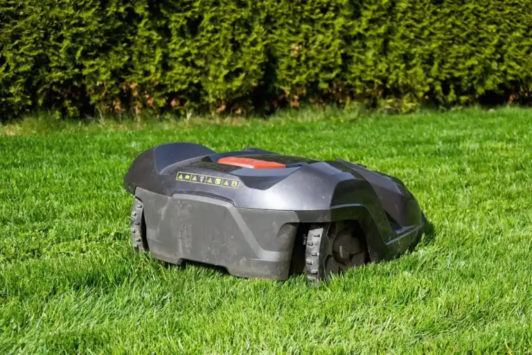 Robotic lawn mower on a green lawn with a hedge in the background.
