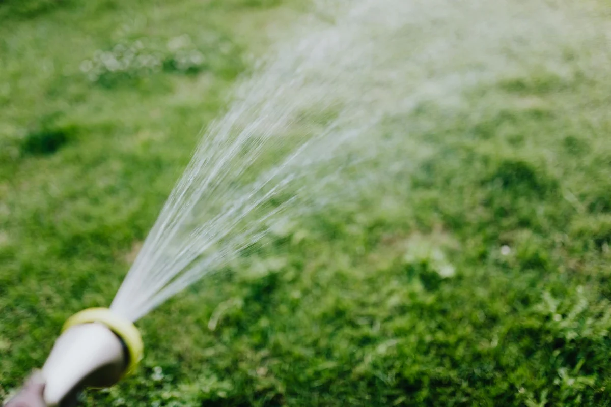 Sprinkler dispersing a fine spray over a vibrant green lawn.