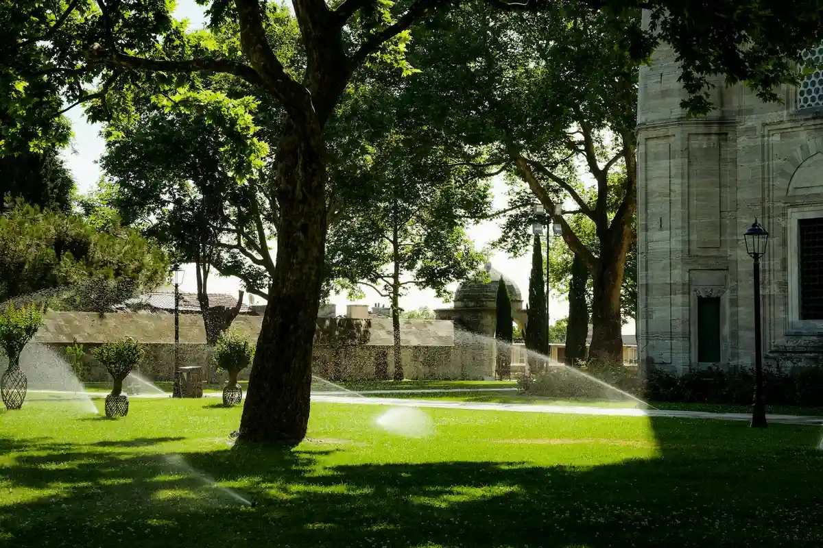 Sunlit public lawn with sprinkler sprays, mature trees, and a stately building in the background.