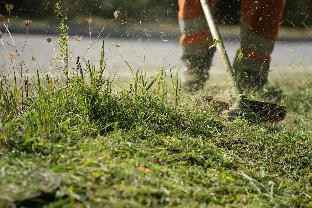 Person in outdoor boots using a manual scarifier to rake through a patch of lawn, pulling up thatch and debris