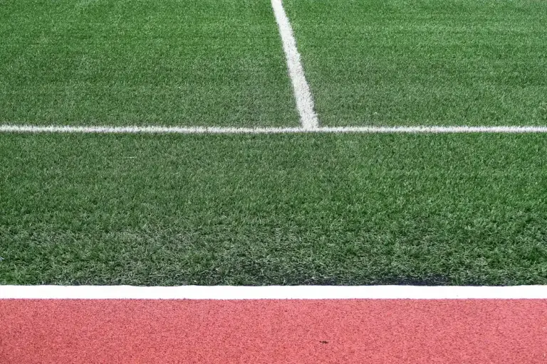 Close-up of green grass with a white line across, and a red track edge, illustrating a lawn area.
