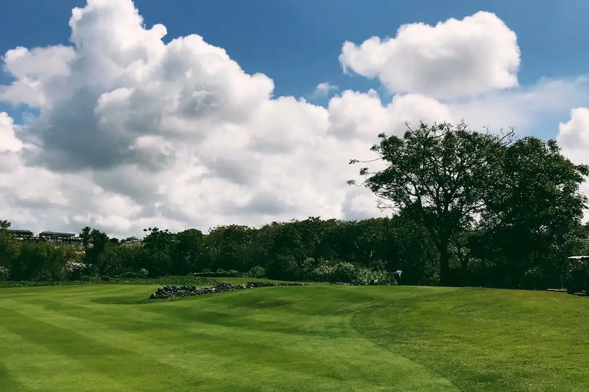 Lush green lawn with mowing patterns, bordered by trees under a bright, partly cloudy sky.