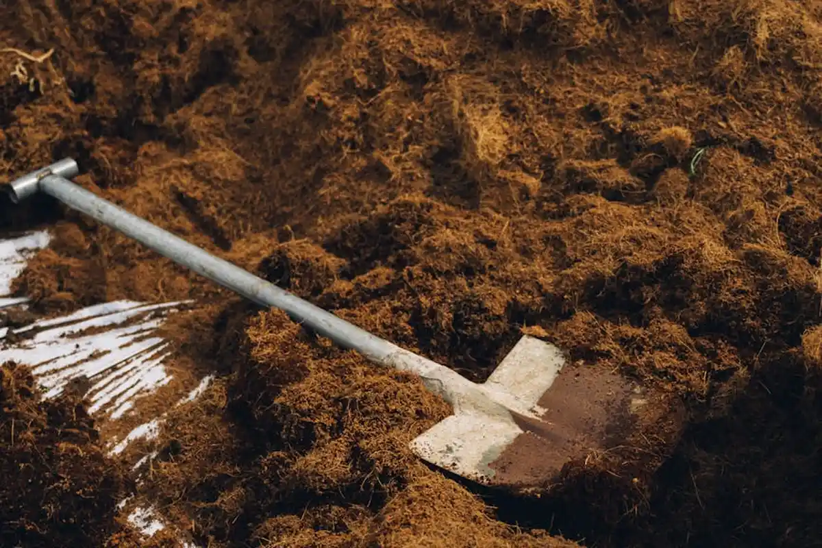 Shovel resting in a pile of earthy soil, ready for lawn soil sampling.