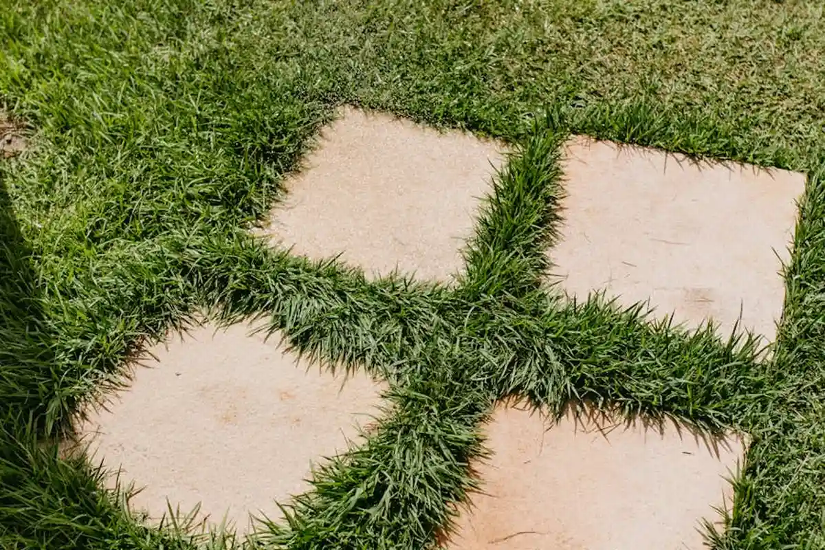 Close-up of a lawn with light-colored stepping stones set among green grass.