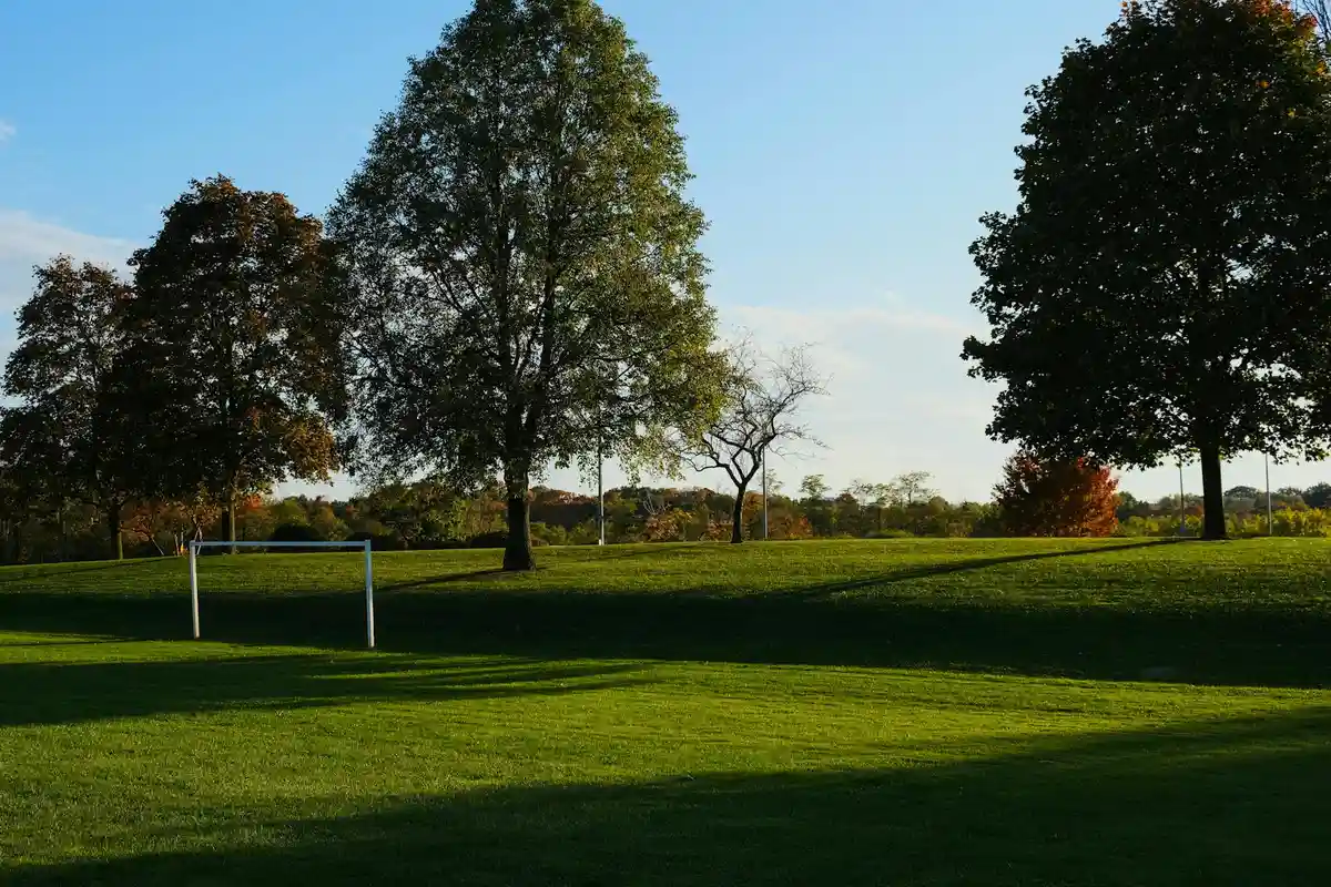 Lush green park lawn with trees and a small soccer goal in the distance.