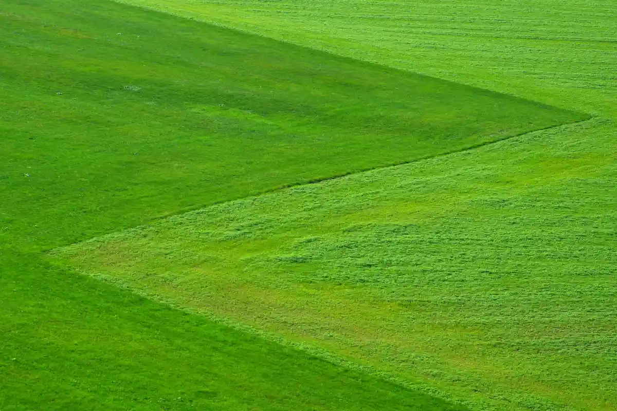 Aerial view of a lawn with light and dark mowing stripes forming angular, geometric patterns.