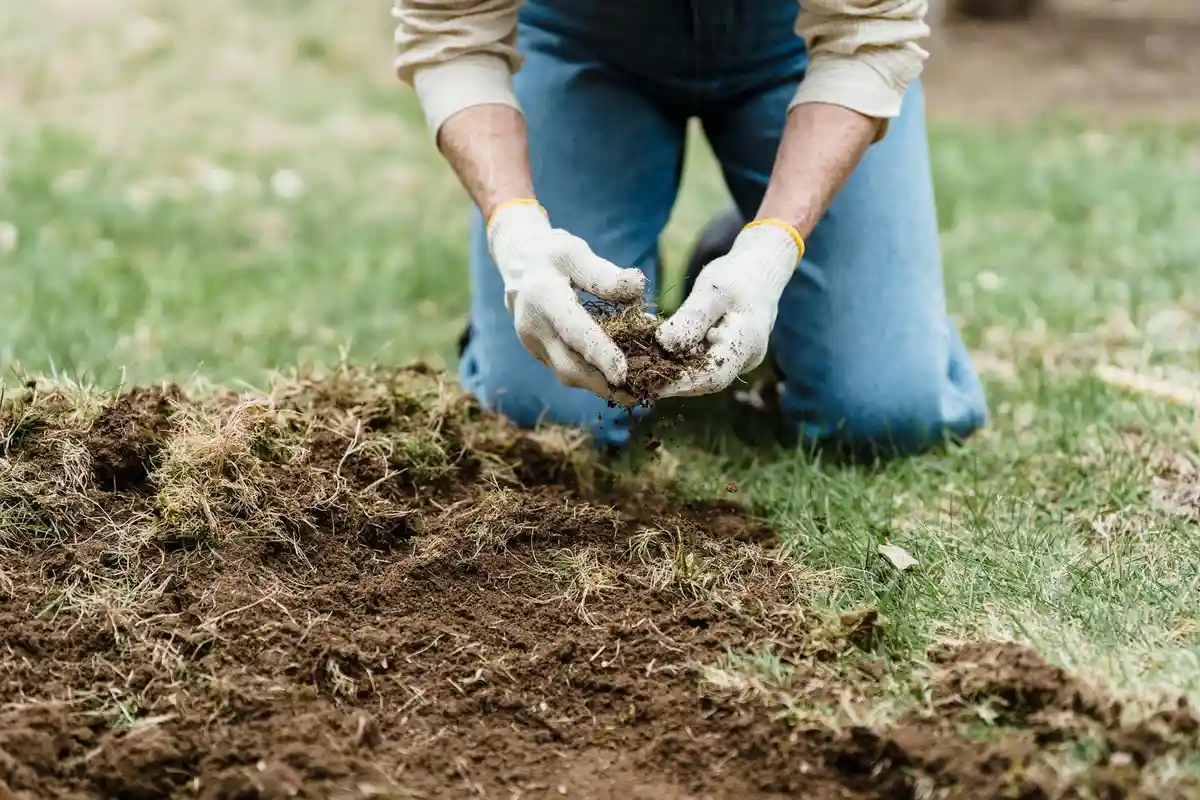 Close-up of a gardener kneeling on a lawn wearing gloves, hands in soil as soil is spread for top dressing